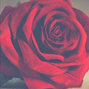 Meet your Posher, Reshawnda